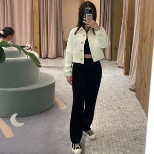 Aritzia Babaton command pant - satin black